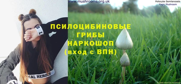 прущий лед Белоозёрский