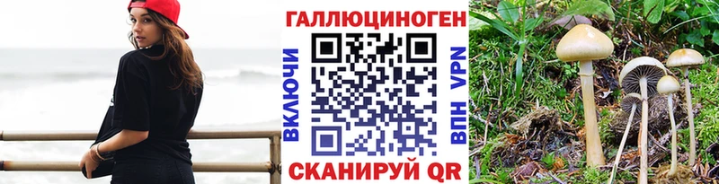 Псилоцибиновые грибы GOLDEN TEACHER  Шагонар 